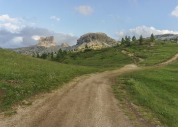 Born global firms are experiencing rapid growth.
Born global firms are seeing a surge in growth.
The growth of born global firms is on the rise.