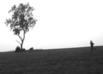 Navigating the intricate world of funding for UK start-ups