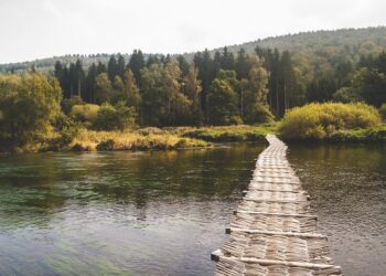 The Changing Face of Entrepreneurship in the UK: Team Dynamics and Serial Founders