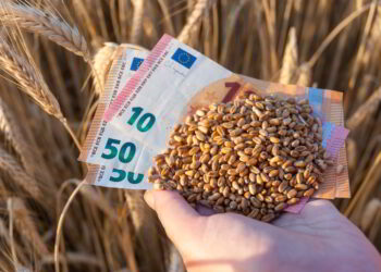 What are the necessary legal protections for successfully navigating commodities markets? Clover Business and Start Up Development What are the necessary legal protections for successfully navigating commodities markets?