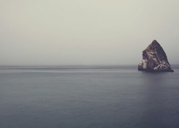 Reasons to Bring Your Family Along on a Business Trip